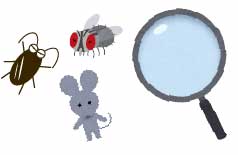 ネズミ・害虫の発生原因と種類を特定する