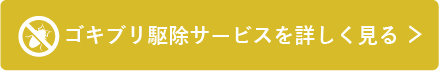 ゴキブリ駆除サービスを詳しく見る